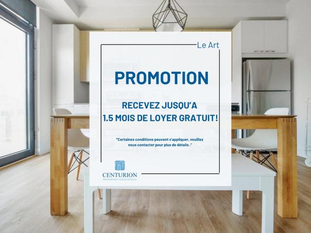 Appartement à Louer 1155 Rue Mackay, Montréal 16 photos | Logis Québec