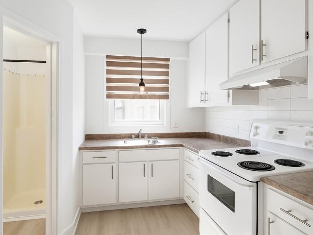 Appartement à Louer 119 Rue des Peupliers E, Québec, QC G1L 1S3, La Cité Limoilou Québec 8 photos | Logis Québec