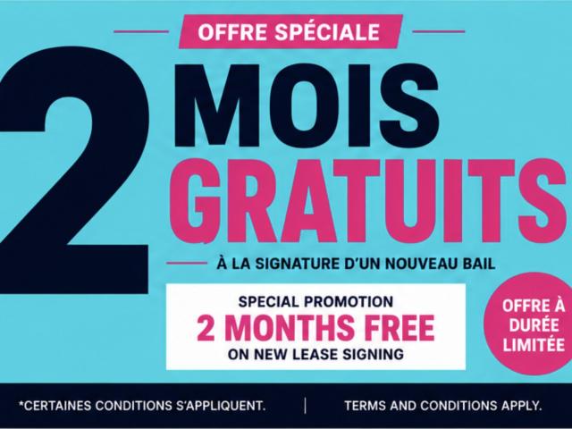 Appartement à Louer 1226 1230 Rue du Fort, Montréal 16 photos | Logis Québec