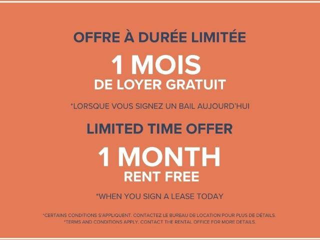 Appartement à Louer 1255 rue Saint Dominique, Montréal 26 photos | Logis Québec
