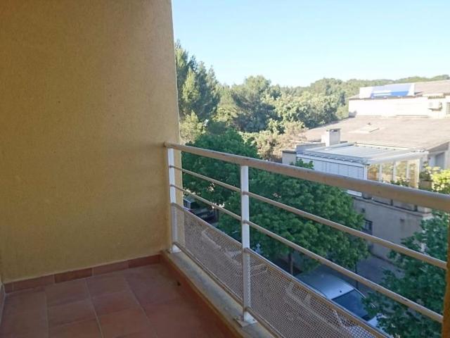 Appartement à louer 1 pièce