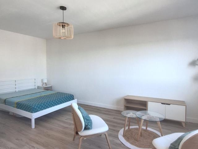 Appartement à louer 1 pièce