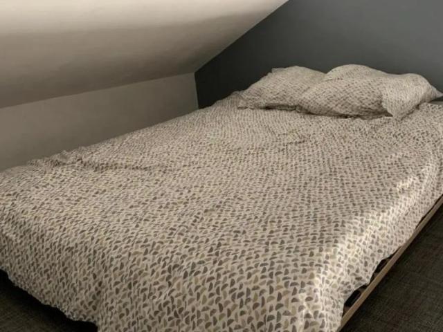 Appartement à louer 1 pièce 18.5m²