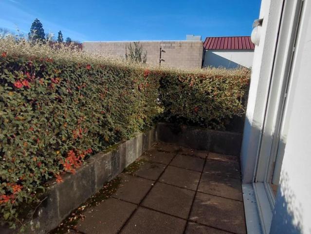 Appartement à louer 1 pièce 22.5m²