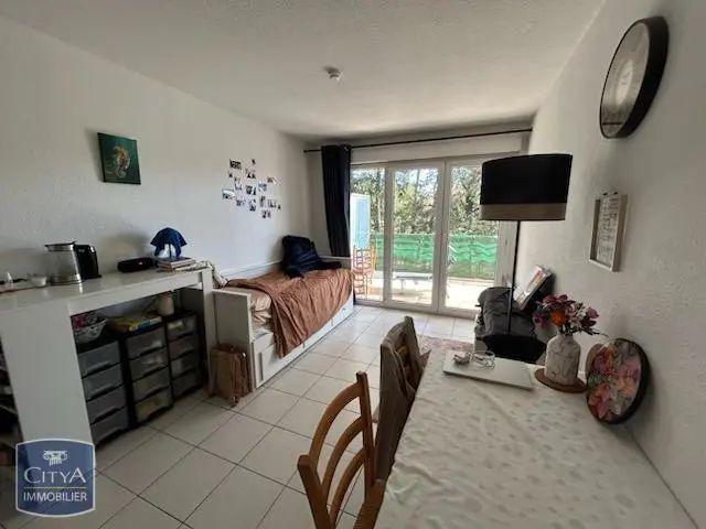 Appartement à louer 1 pièce 25m²