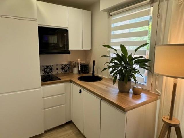 Appartement à louer 1 pièce