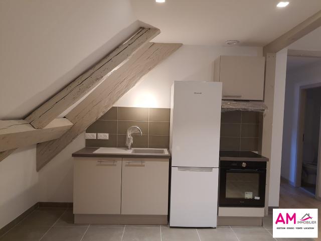 Appartement à louer, 1 pièce Colmar 68000