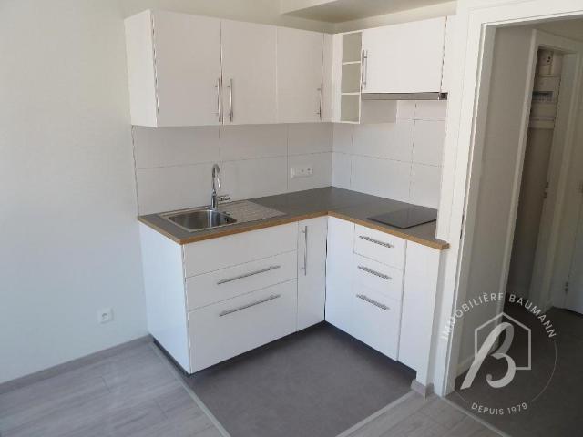 Appartement à louer, 1 pièce DORLISHEIM 67120