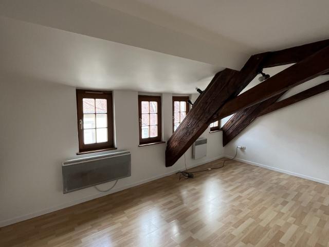 Appartement à louer, 1 pièce Strasbourg 67000