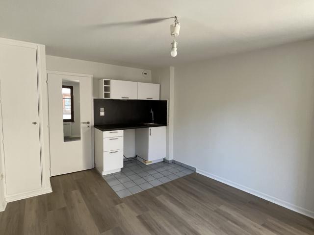 Appartement à louer, 1 pièce Strasbourg 67000