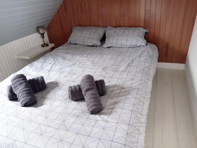 Appartement à louer 1 pièces CONCARNEAU 29