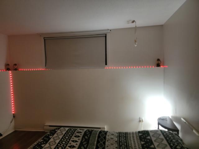 Appartement à Louer 242 rue Vanier, Plaisance 14 photos | Logis Québec