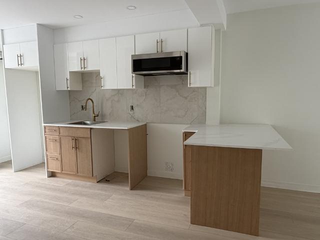 Appartement à Louer 2457 rue Bossuet, Mercier/Hochelaga Maisonneuve Montréal 7 photos | Logis Québec