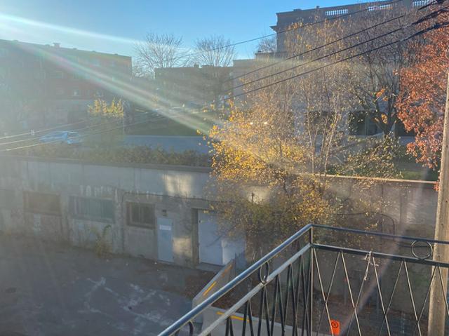 Appartement à Louer 2770 PieIX, Mercier/Hochelaga Maisonneuve Montréal 6 photos | Logis Québec