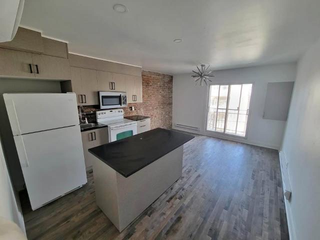 Appartement à Louer 2091 Rue Florian, Mercier/Hochelaga Maisonneuve Montréal 5 photos | Logis Québec