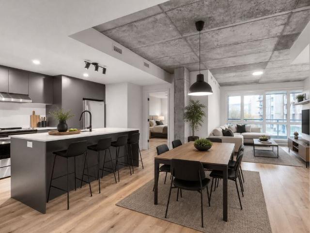 Appartement à Louer 2350 Saint Patrick, Montréal 30 photos | Logis Québec