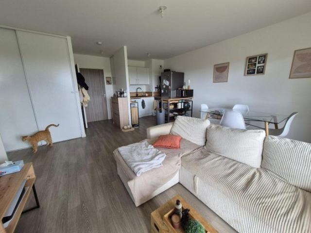 Appartement à louer, 2 pièces Angers 49000
