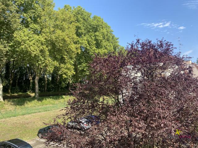 Appartement à louer, 2 pièces Eschau 67114