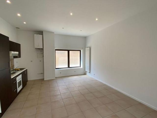 Appartement à louer 2 pièces • Saint Georges de Reneins