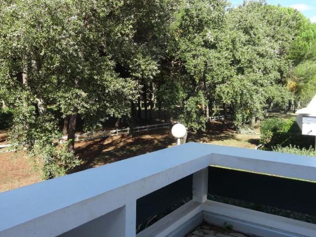 Appartement à louer 2 pièces • 34,19 m2 La Grande Motte