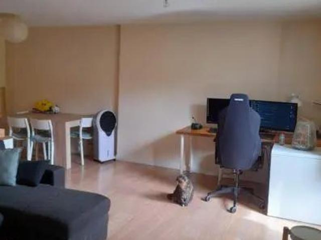 Appartement à louer 2 pièces 49.98m²