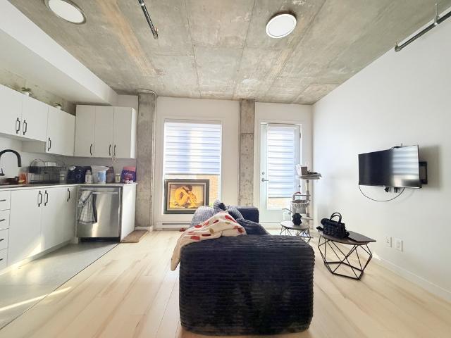 Appartement à Louer 343 Rue Saint Paul, La Cité Limoilou Québec 8 photos | Logis Québec