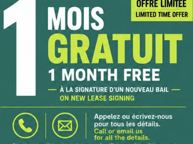 Appartement à Louer 3429 3431 Rue St Andre, Montréal 7 photos | Logis Québec