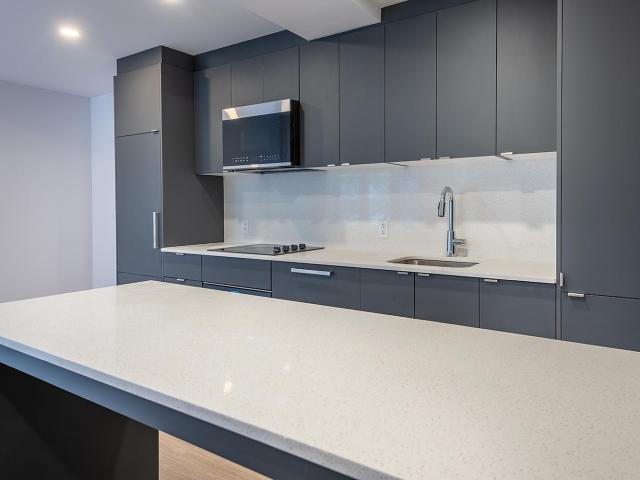 Appartement à Louer 3477 Drummond, Montréal 30 photos | Logis Québec
