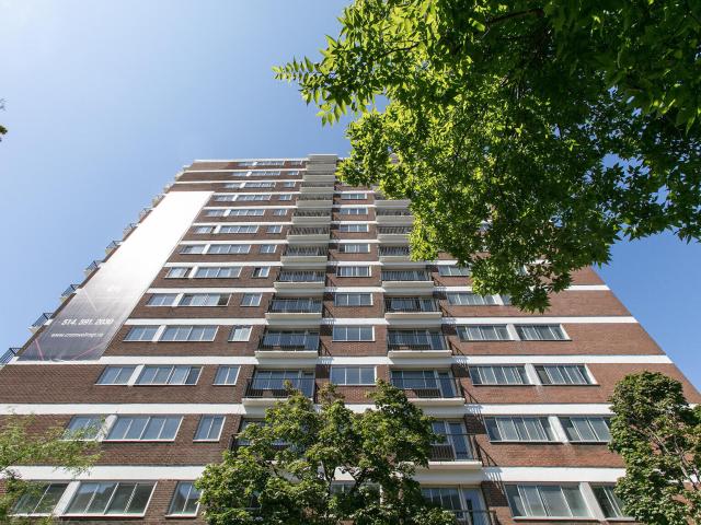 Appartement à Louer 3605 Rue Saint Urbain, Montréal 19 photos | Logis Québec