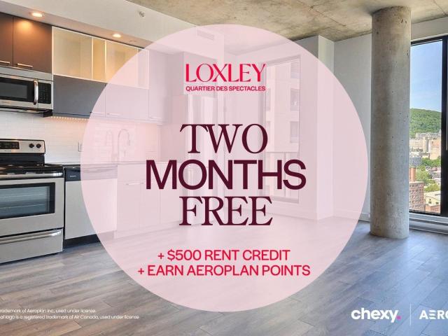 Appartement à Louer 375 Rue de la Concorde, Montréal 30 photos | Logis Québec
