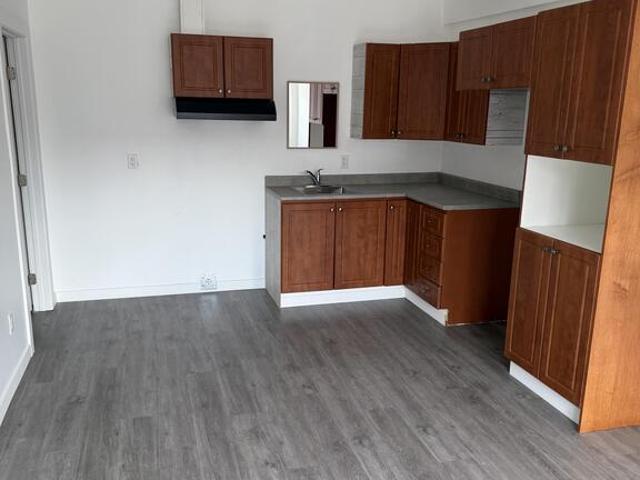 Appartement à Louer 387 rue Notre Dame, Gatineau Gatineau 5 photos | Logis Québec