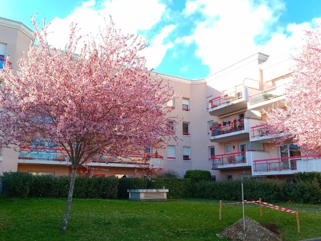 Appartement à louer 3 pièces 62,46 m