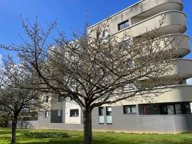 Appartement à louer 3 pièces 74,61 m