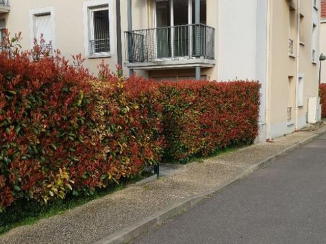 Appartement à louer 3 pièces 72 m