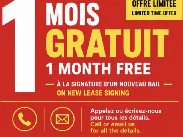 Appartement à Louer 4720 Ave St Kevin, Montréal 30 photos | Logis Québec