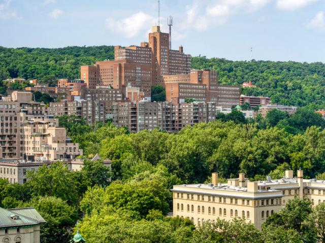Appartement à Louer 4000 de Maisonneuve Blvd. West, Montréal 30 photos | Logis Québec