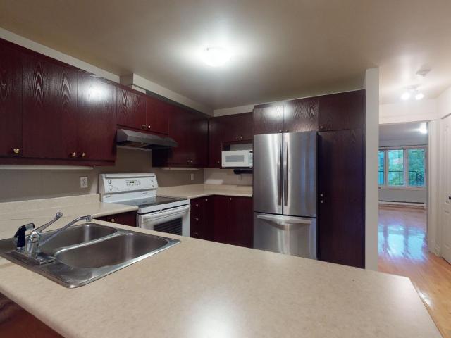 Appartement à Louer 4121,Rue St Dominique, Le Plateau Mont Royal Montréal 21 photos | Logis Québec