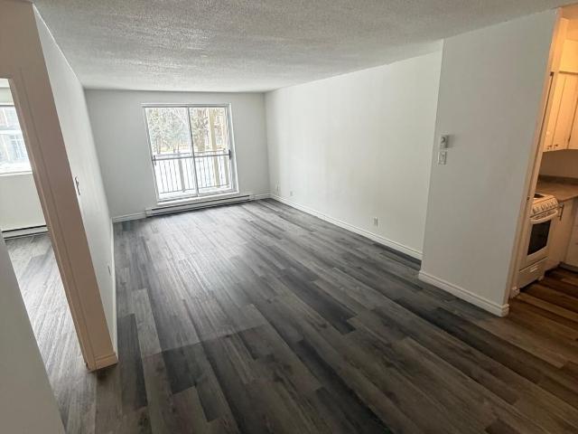 Appartement à Louer 42 Rue Bédard Gatineau J8Y 5Z6, Hull Gatineau 10 photos | Logis Québec
