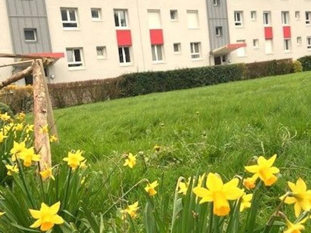 Appartement à louer 4 pièces 63,78 m