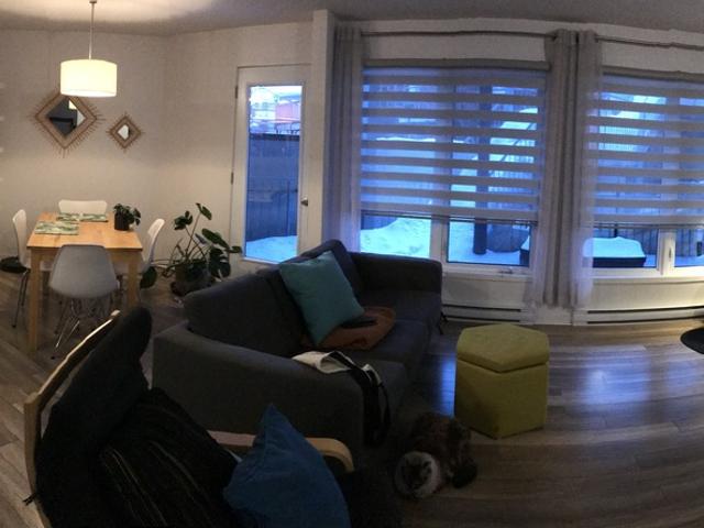 Appartement à Louer 500 SAINT IGNACE, La Cité Limoilou Québec 10 photos | Logis Québec
