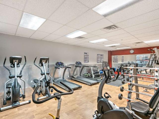 Appartement à Louer 65 East Sherbrooke Street, Montréal 30 photos | Logis Québec