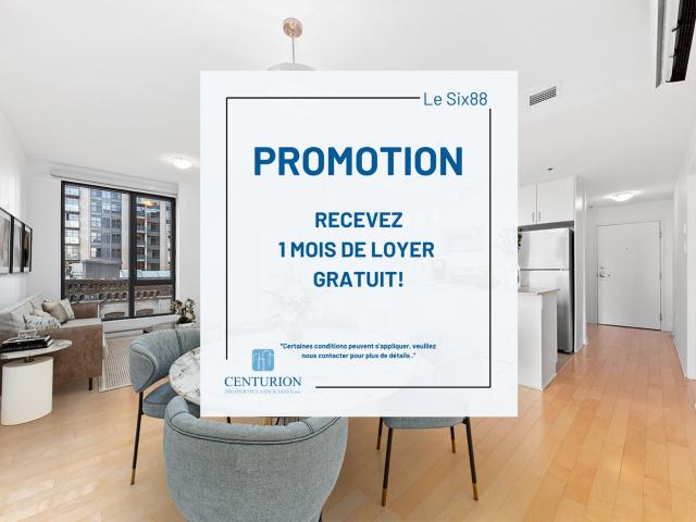 Appartement à Louer 688 Rue Notre Dame Ouest, Montréal 17 photos | Logis Québec