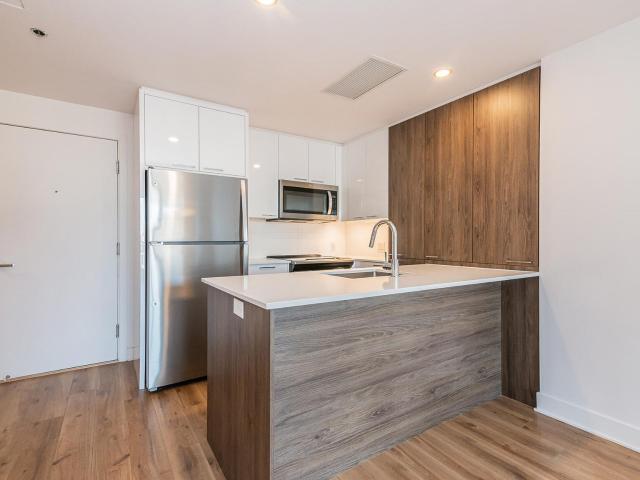 Appartement à Louer 693 William Street, Montréal 21 photos | Logis Québec
