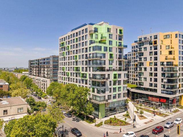 Appartement à Louer 7407 rue Mountain Sights, Montréal 30 photos | Logis Québec