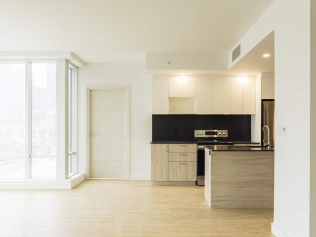 Appartement à Louer 790 rue William, Montréal 21 photos | Logis Québec