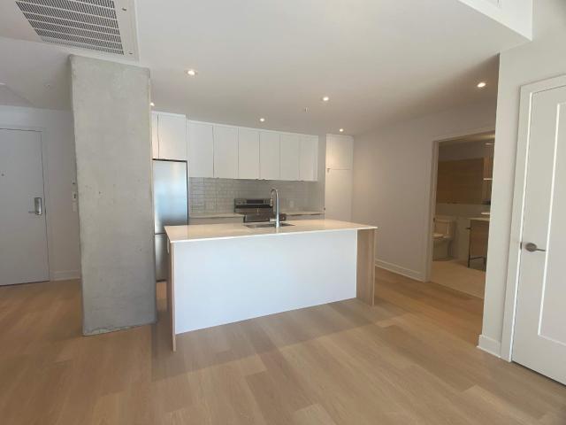 Appartement à Louer 8205 Ave du Cirque Montréal, Villeray/Saint Michel/Parc Extension Montréal 13 photos | Logis Québec