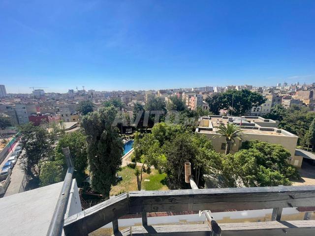 Appartement à palmier sans vis à vis