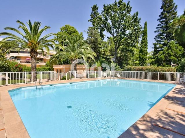 Rooftop, secteur Minelle, 4 pièces aux 3 expositions, piscine, g