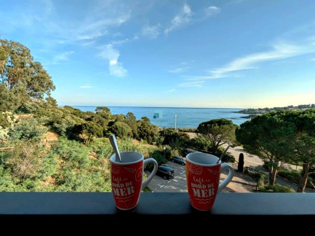Aux Issambres, T2 avec belle vue mer, terrasse et parking