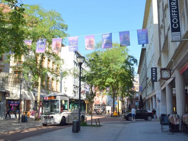 Appartement à vendre 5 pièces MULHOUSE 68